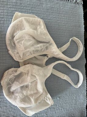 Sheer Lace Underwire Bra in Ivory - Supportive Everyday Comfort
